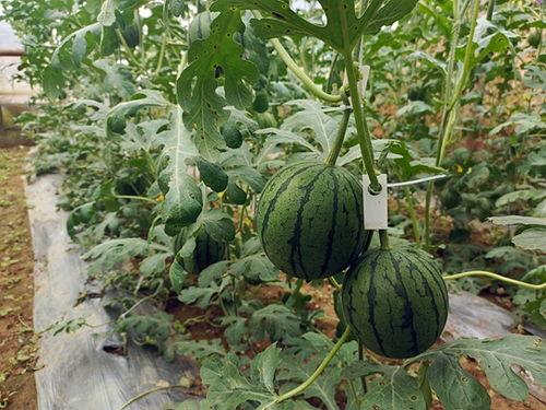 最新51吃瓜网,娱乐圈最新热点事件大盘点！