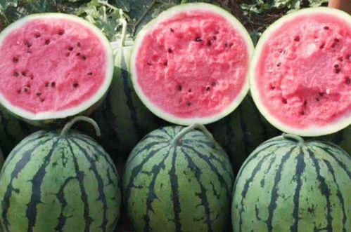 买吃瓜视频网红有哪些平台,热门平台上的吃瓜网红盘点