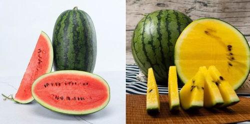 吃瓜网是什么,网络舆论的风向标与娱乐资讯的聚集地