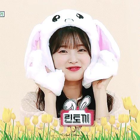 吃瓜小熊韩网热帖视频在线观看,吃瓜小熊视频走红，网友在线观看热议不断