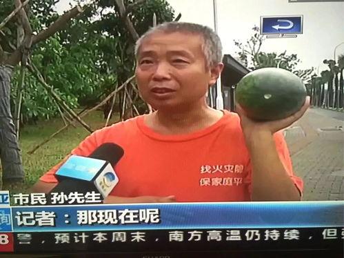 全网吃瓜网热门事件