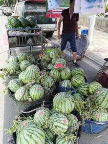 广州网红吃瓜事件,揭秘网络舆论的风暴与真相