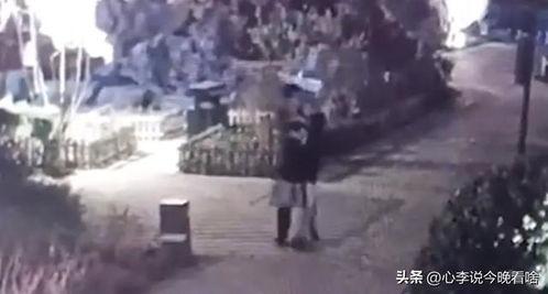 网课吃瓜视频完整版,揭秘校园生活幕后趣闻