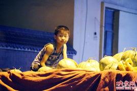 吃瓜最新事件郑州新闻网,揭秘近期吃瓜热点事件背后的真相