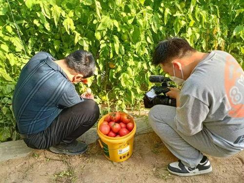 吃瓜最新事件甘肃新闻网,揭秘近期吃瓜热点事件背后的真相