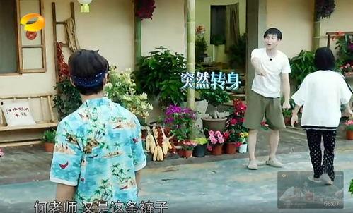 合肥网红吃瓜事件真相,揭秘背后真相与争议