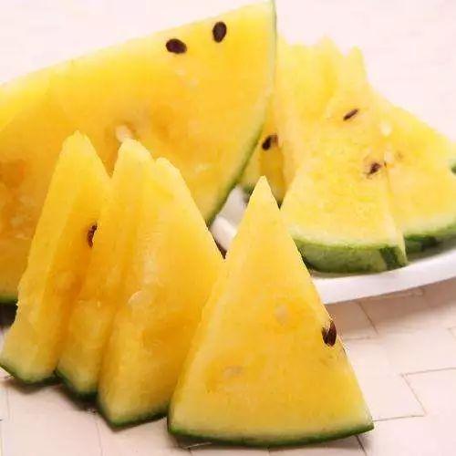 黑瓜吃料网官网