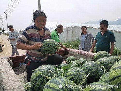 三水区网红吃瓜事件最新,揭秘背后真相与网络舆论风暴