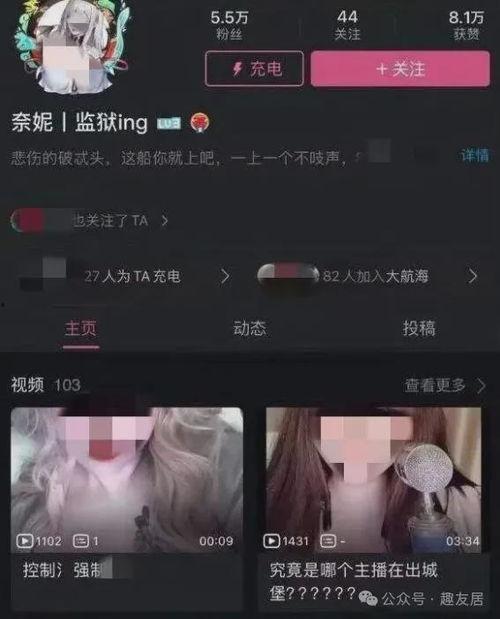 网红吃瓜直播录屏软件