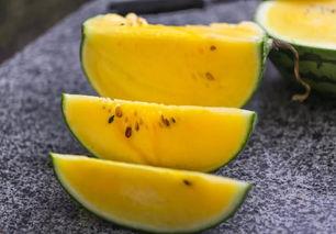 吃瓜杭州网红视频,揭秘城市生活趣味瞬间