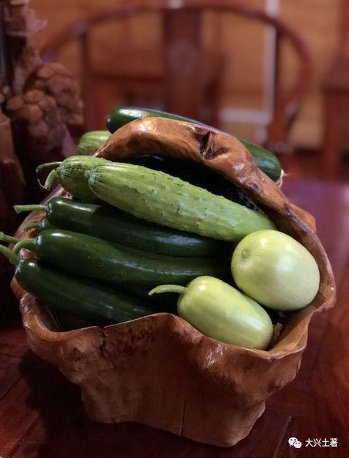 关于武都网红吃瓜