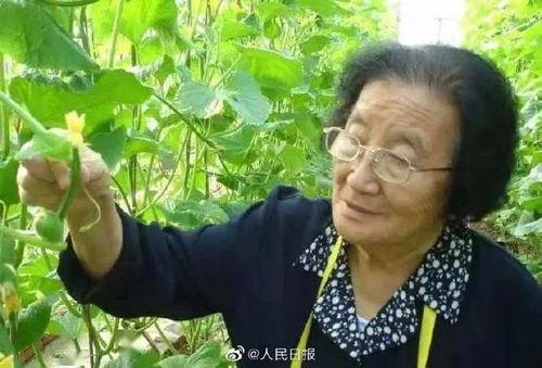 吃鸡瓜的网红是哪里人